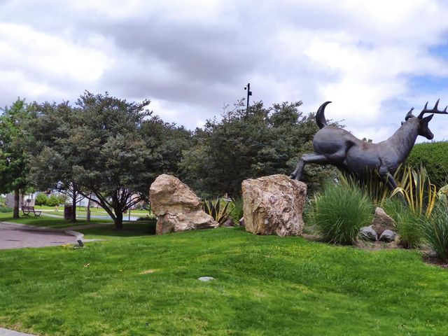 place photo 18
