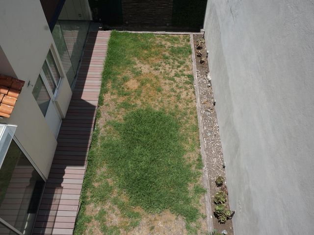 place photo 67