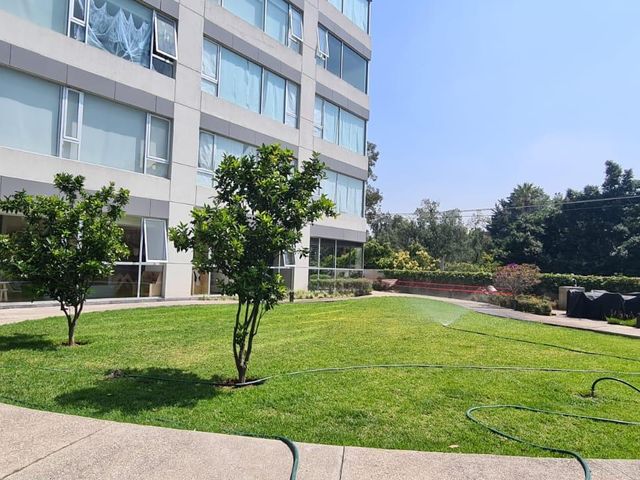 place photo 36
