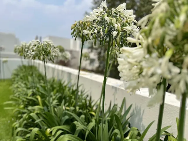 place photo 45