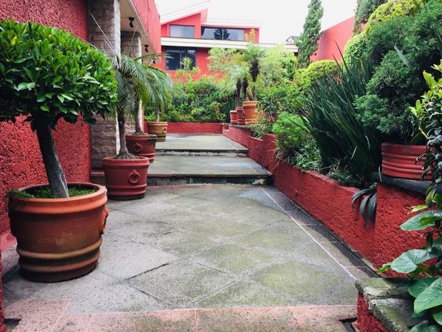 place photo 29