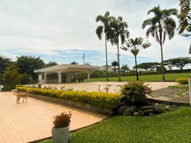 place photo 24