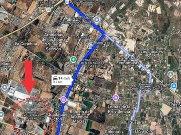place photo 7