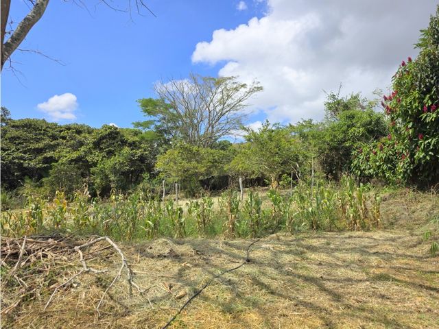 place photo 46