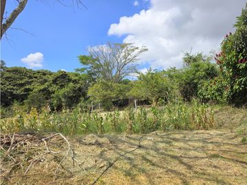 place photo 46