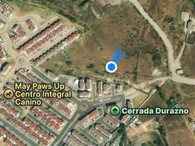 place photo 10