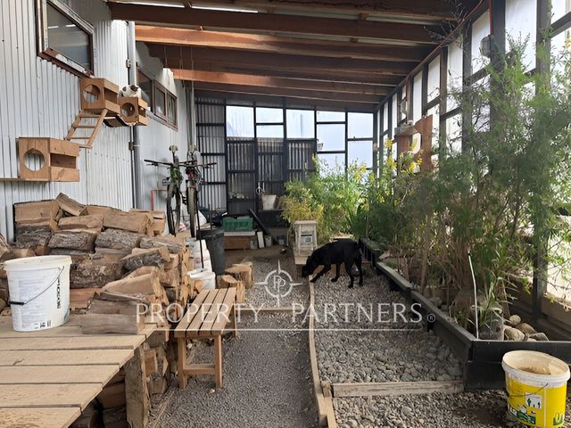 place photo 22