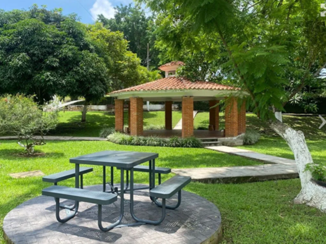 place photo 26