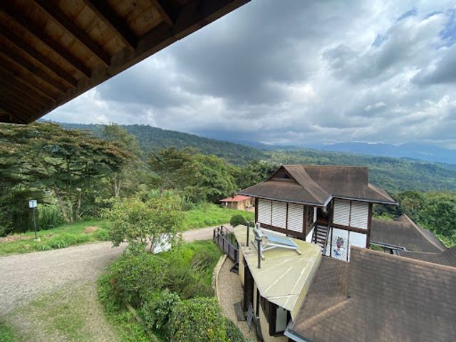 place photo 22