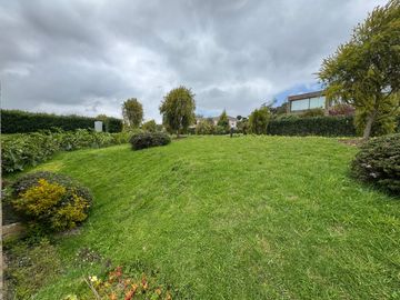 place photo 28