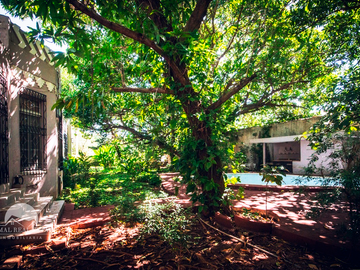 place photo 15