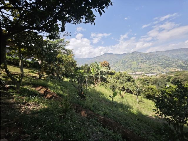 place photo 49