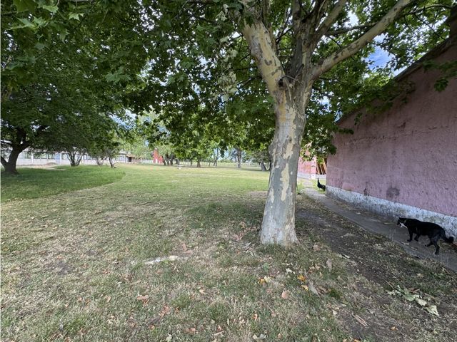 place photo 22