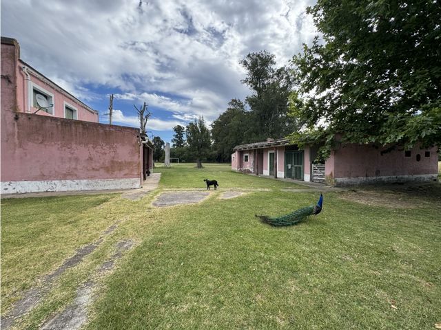 place photo 26
