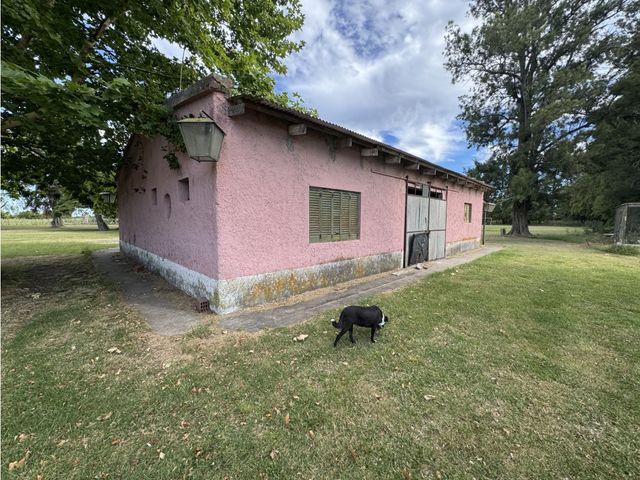 place photo 28