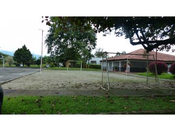 place photo 41