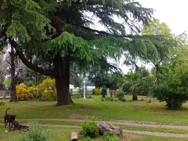 place photo 27