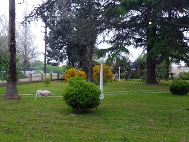 place photo 26