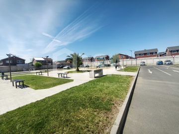 place photo 21