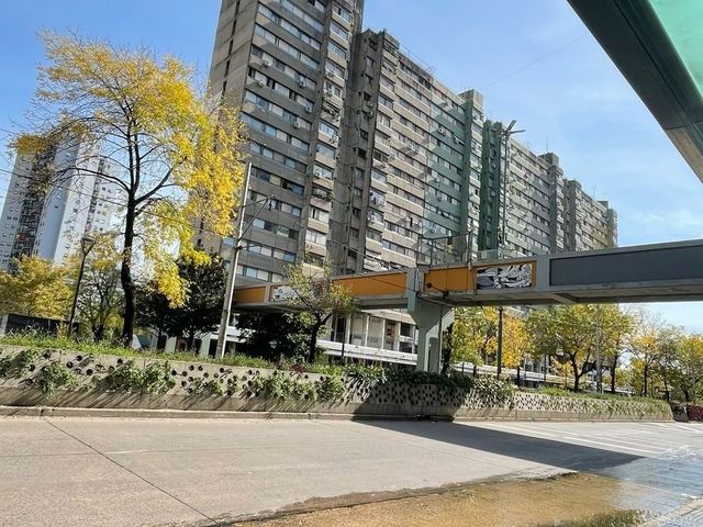 place photo 57