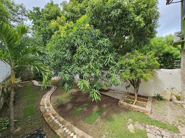 place photo 37