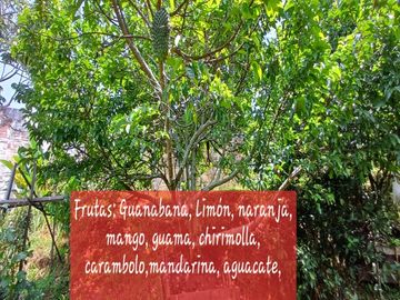 place photo 23