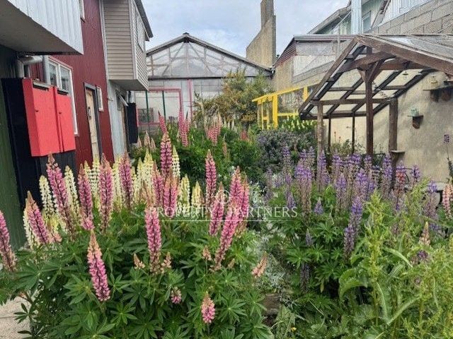 place photo 22
