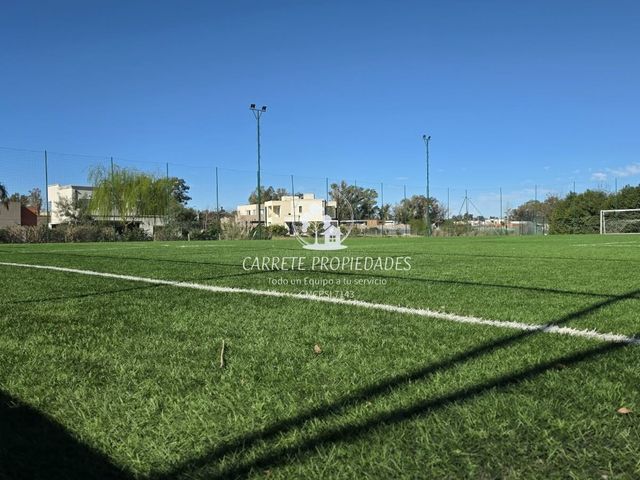 place photo 29