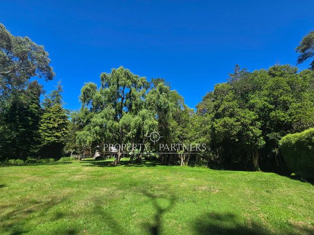 place photo 38