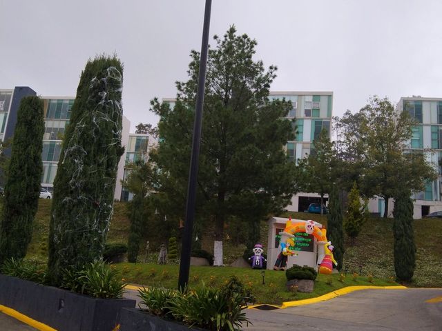 place photo 37