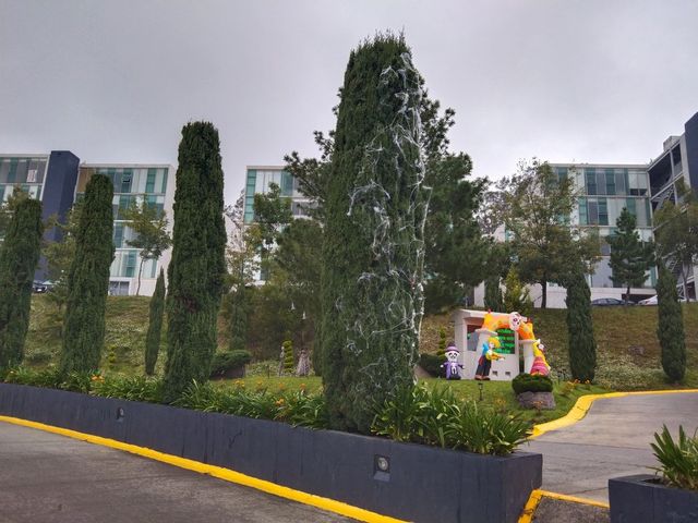 place photo 38