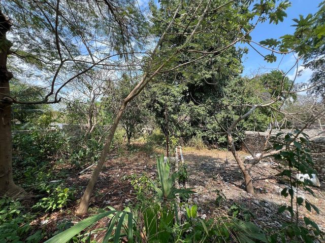 place photo 29