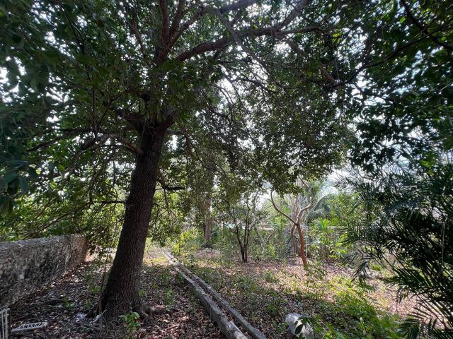 place photo 28
