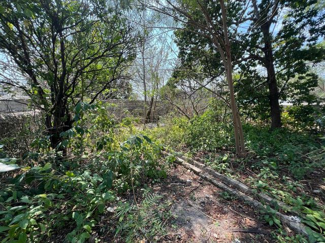 place photo 30