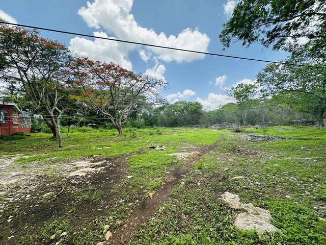 place photo 9
