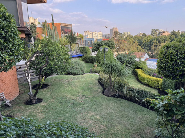 place photo 39