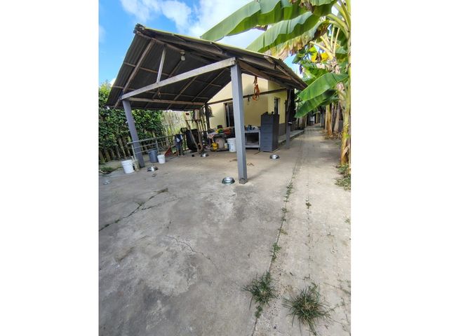 place photo 59
