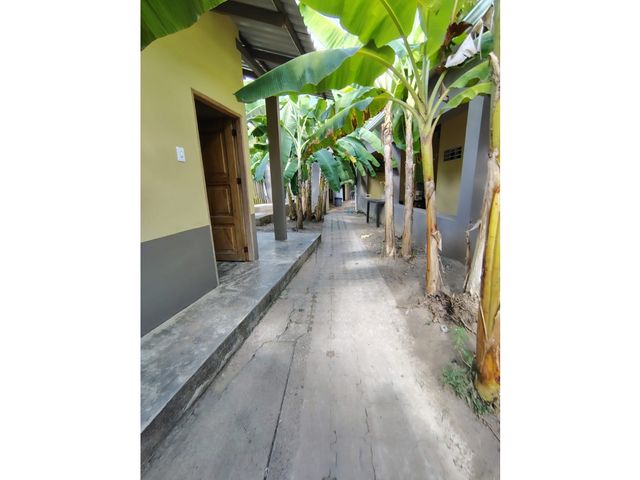 place photo 56
