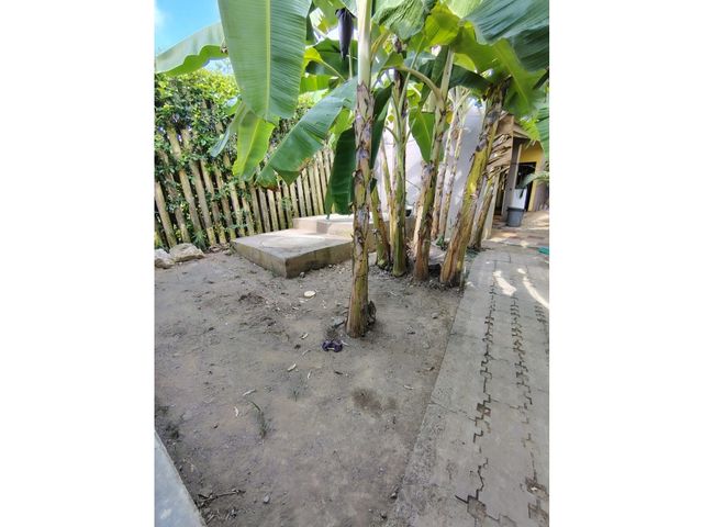 place photo 57
