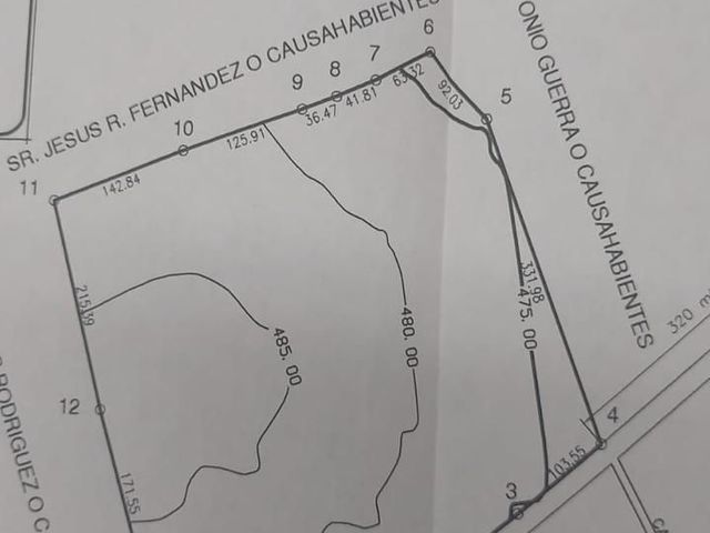 place photo 15