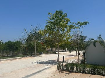 place photo 38