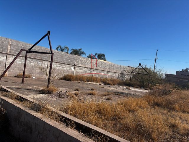place photo 7