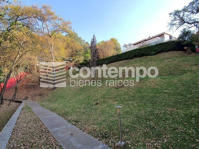 place photo 39