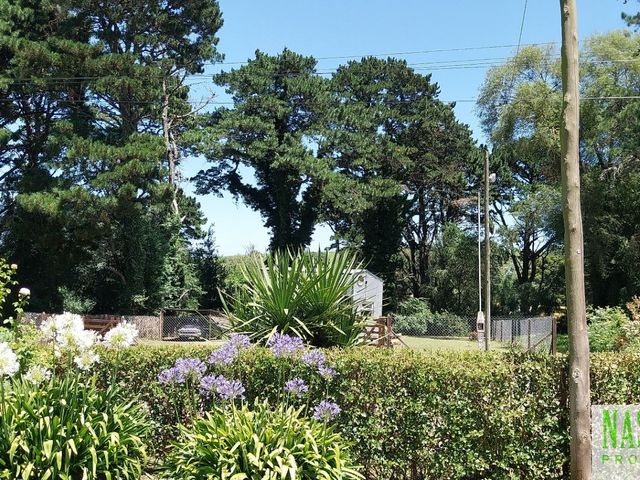 place photo 65