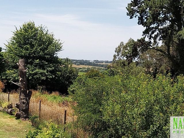 place photo 46