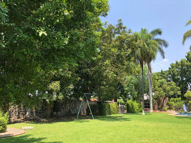 place photo 36