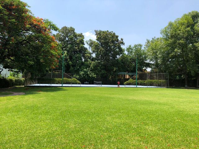 place photo 16