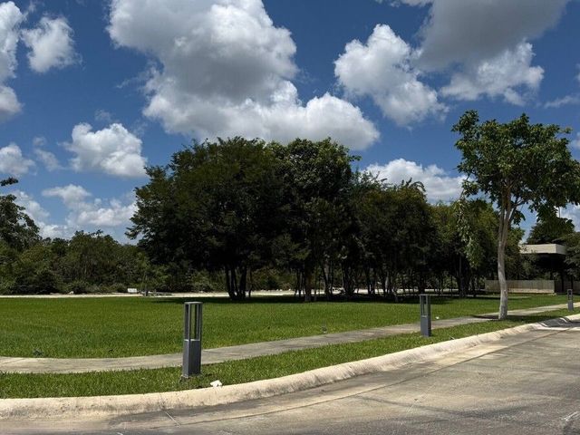 place photo 16
