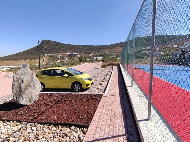 place photo 14