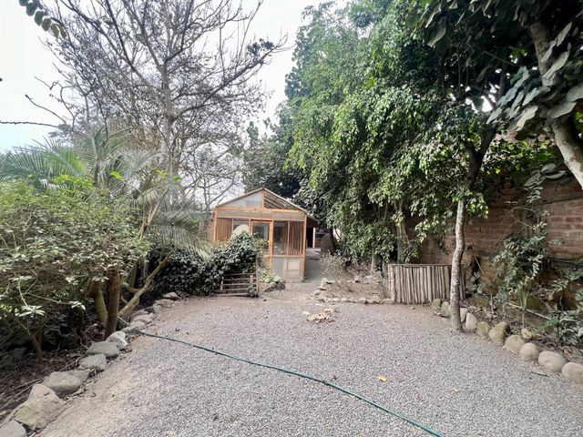 place photo 42